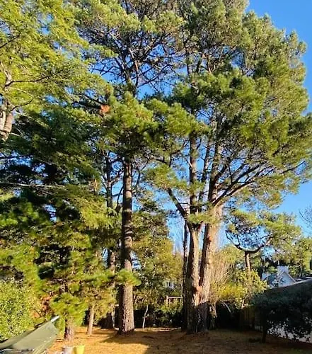 Casa vacanze La Rabolière Quartier Lajarrige à La Baule-Escoublac