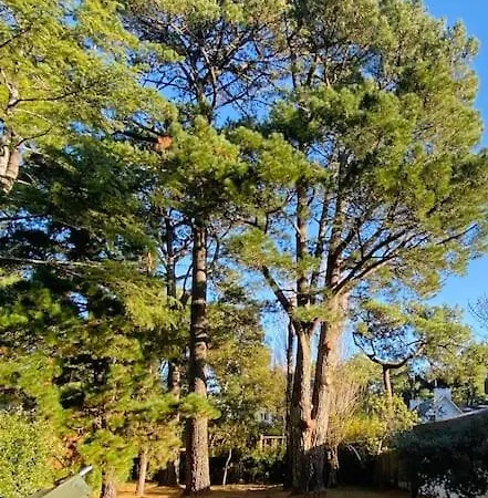 Ferienhaus La Raboliere Quartier Lajarrige A La Baule-Escoublac