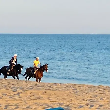 La Raboliere Quartier Lajarrige A La Baule-Escoublac