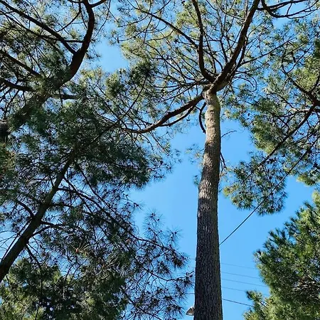La Raboliere Quartier Lajarrige A Ferienhaus La Baule-Escoublac