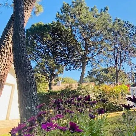 La Raboliere Quartier Lajarrige A