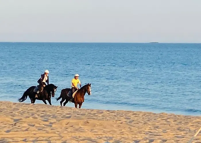 La Raboliere Quartier Lajarrige A Ла-Боль-Эскублак