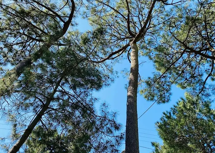 La Rabolière Quartier Lajarrige à Casa de Férias La Baule-Escoublac