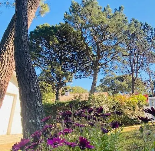 La Rabolière Quartier Lajarrige à